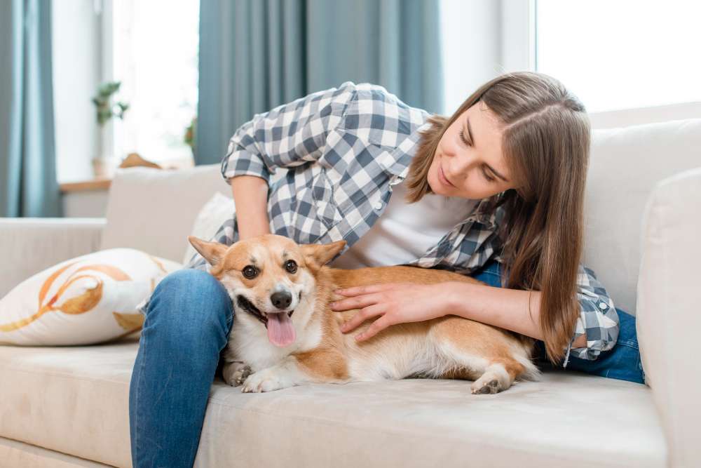 How Your Furry Friends Influence Home Insurance
